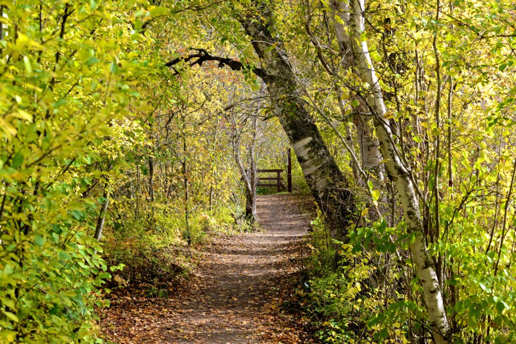 “Trans-Canada Trail Stanley Trail Assiniboine Delta Manitoba”