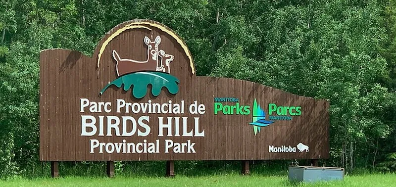 Birds Hill Best Campgrounds in Manioba for beginners 2026 guide