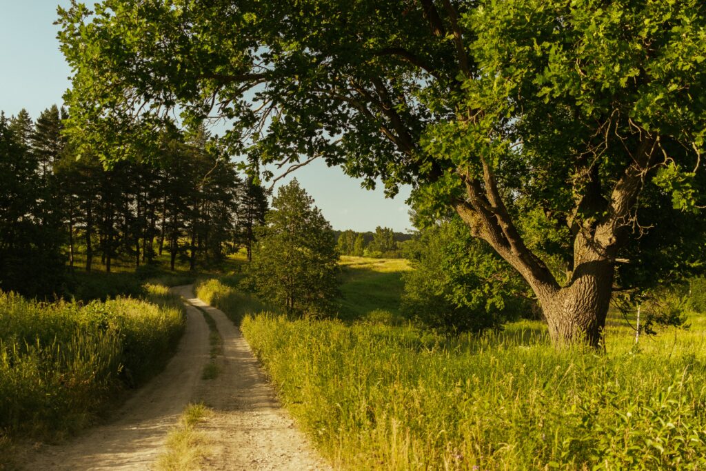 “Crow Wing Trail Trans-Canada Trail Manitoba Emerson to Winnipeg”