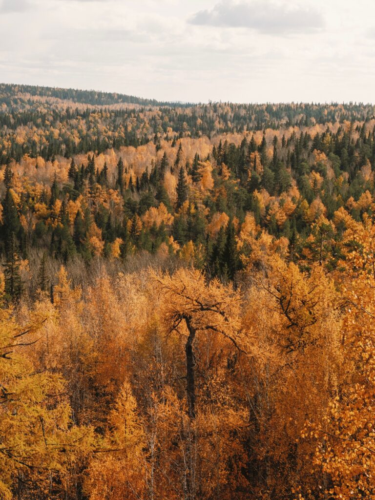 "Duck Mountain, Trans-Canada Trails"