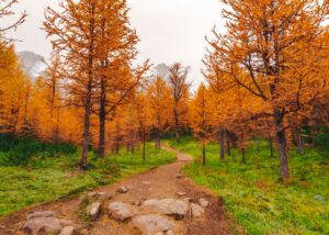 Hiking the Trans-Canada Trail-What you need to Know