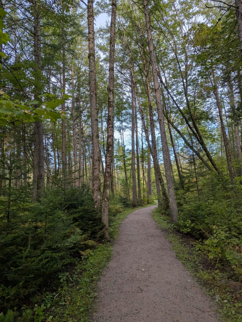  “Trans-Canada Trail Centennial Section Whiteshell Provincial Park Manitoba”